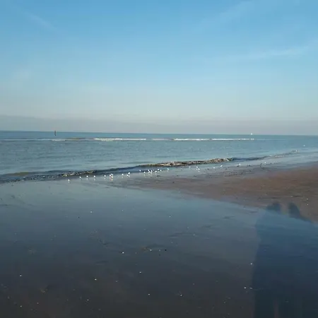 Apartament Shamrock Oostduinkerke