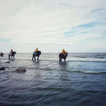 Shamrock Oostduinkerke
